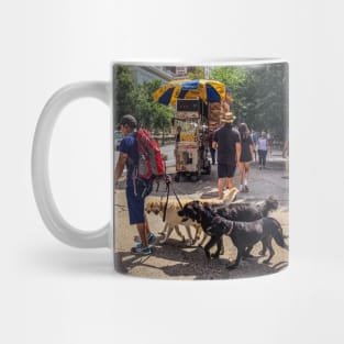 Dog Sitter, Central Park, Manhattan, New York City Mug